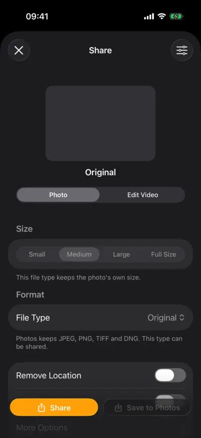The Share sheet with Original chosen as the file type, so the size can't be changed