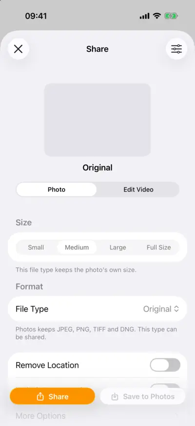 The Share sheet with Original chosen as the file type, so the size can't be changed