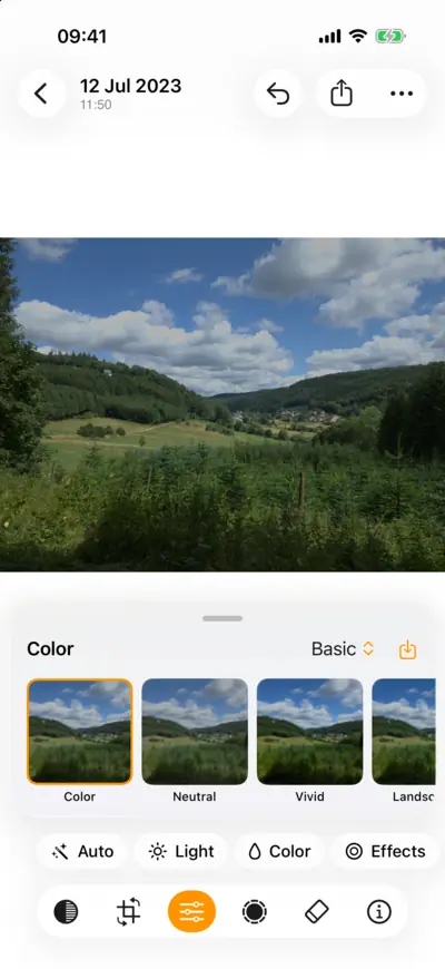 The profiles for a raw landscape, each shown as a thumbnail of the photo