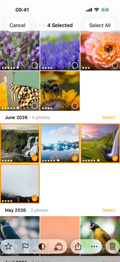 Four photos chosen in the grid, with the selection bar's Rating, Flag and Add to Album buttons