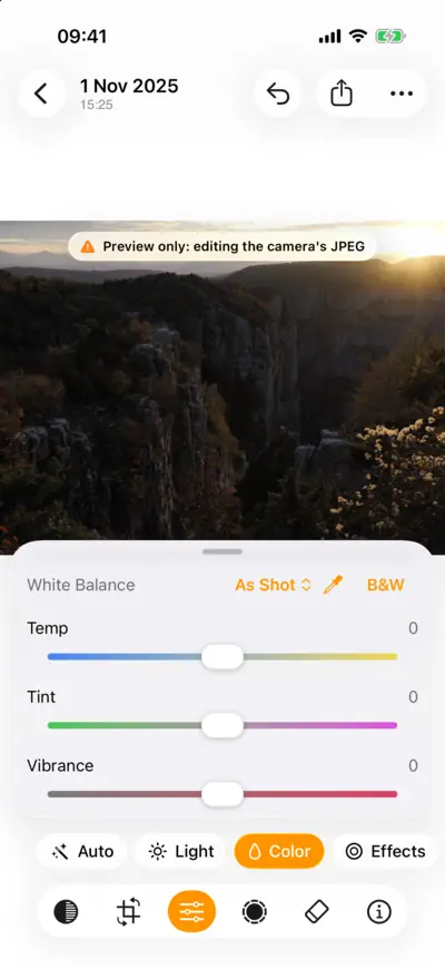 The Color group with the white balance set to As Shot