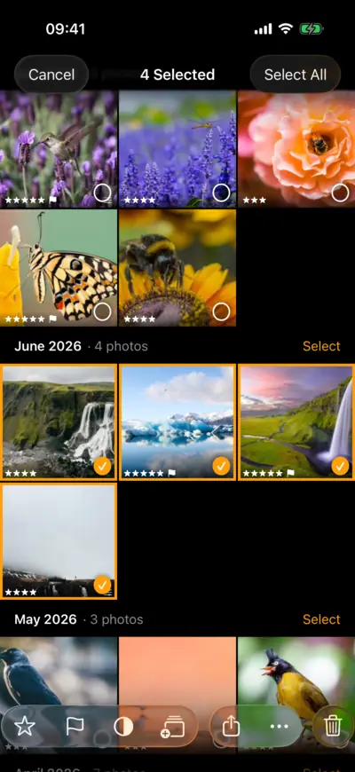 Four photos chosen in the grid, with the selection bar's Rating, Flag and Add to Album buttons