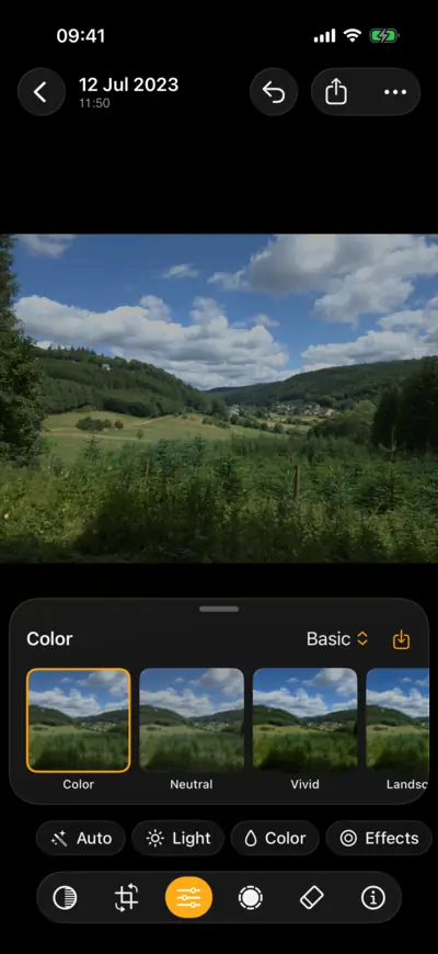 The profiles for a raw landscape, each shown as a thumbnail of the photo