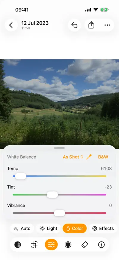 The Color group with the white balance menu, Temp and Tint