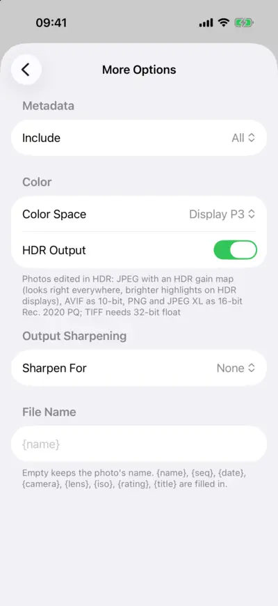 More Options for a JPEG with HDR Output turned on, and the note on how each format keeps HDR